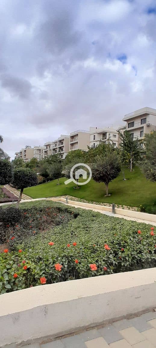 6 20251229_142324. jpg