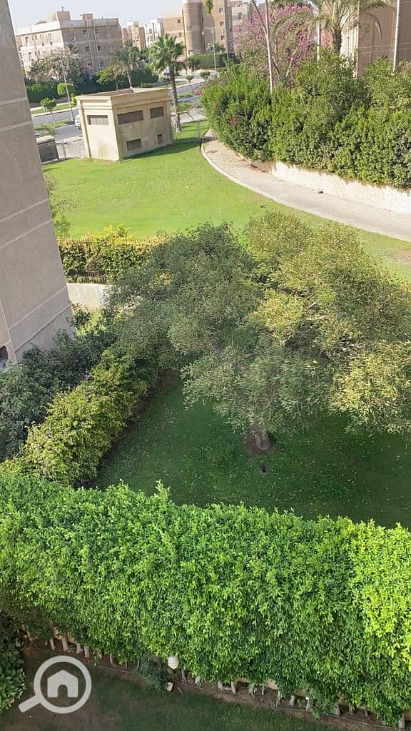 8 7c033e8d-f443-4f13-872c-73bb7d2efe01. jpg