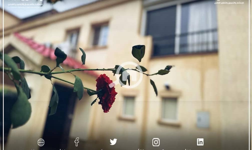 18 WhatsApp Image 2025-09-28 at 1.51. 19 PM (3). jpeg