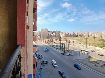 2 Bedroom Apartment for Sale in Seyouf, Alexandria - WhatsApp Image 2026-01-06 at 2.35. 21 PM. jpg 2 Bedroom Apartment for Sale in Seyouf, Alexandria - WhatsApp Image 2026-01-06 at 2.35. 21 PM. jpg