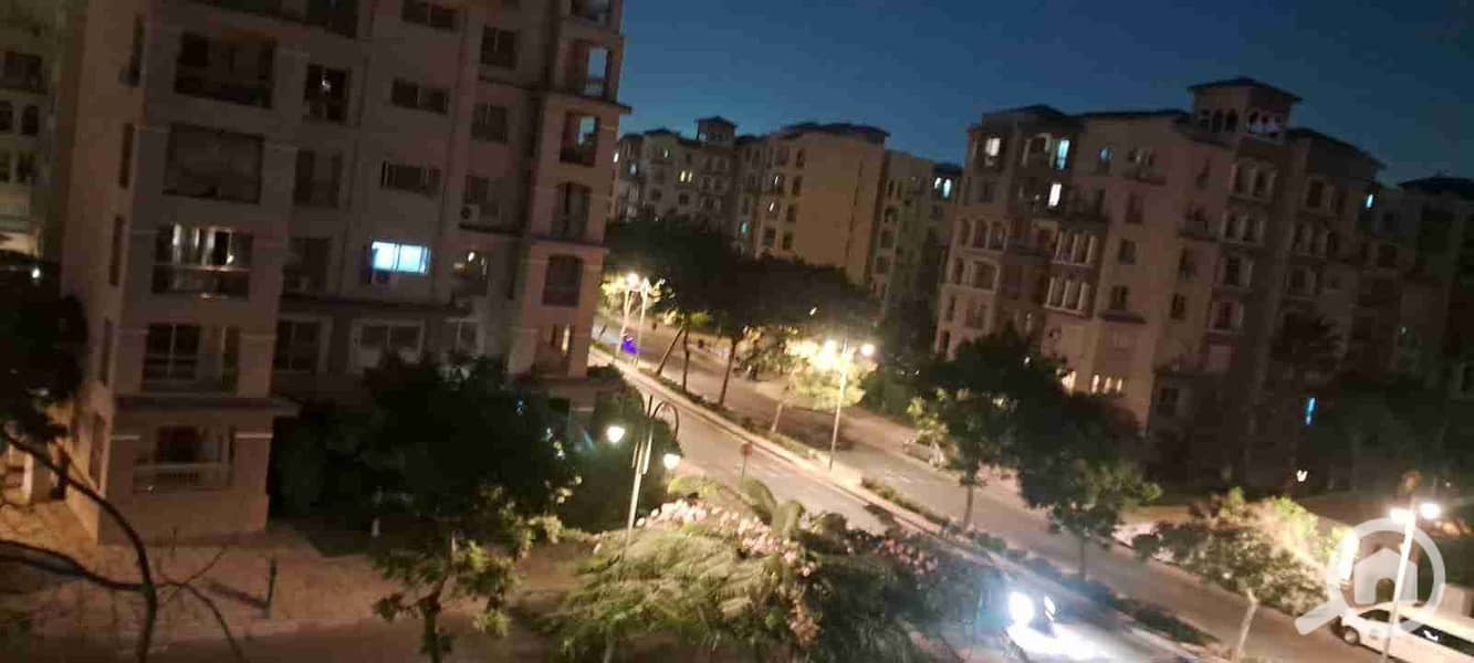 11 motion_photo_3330389239752221318. jpg