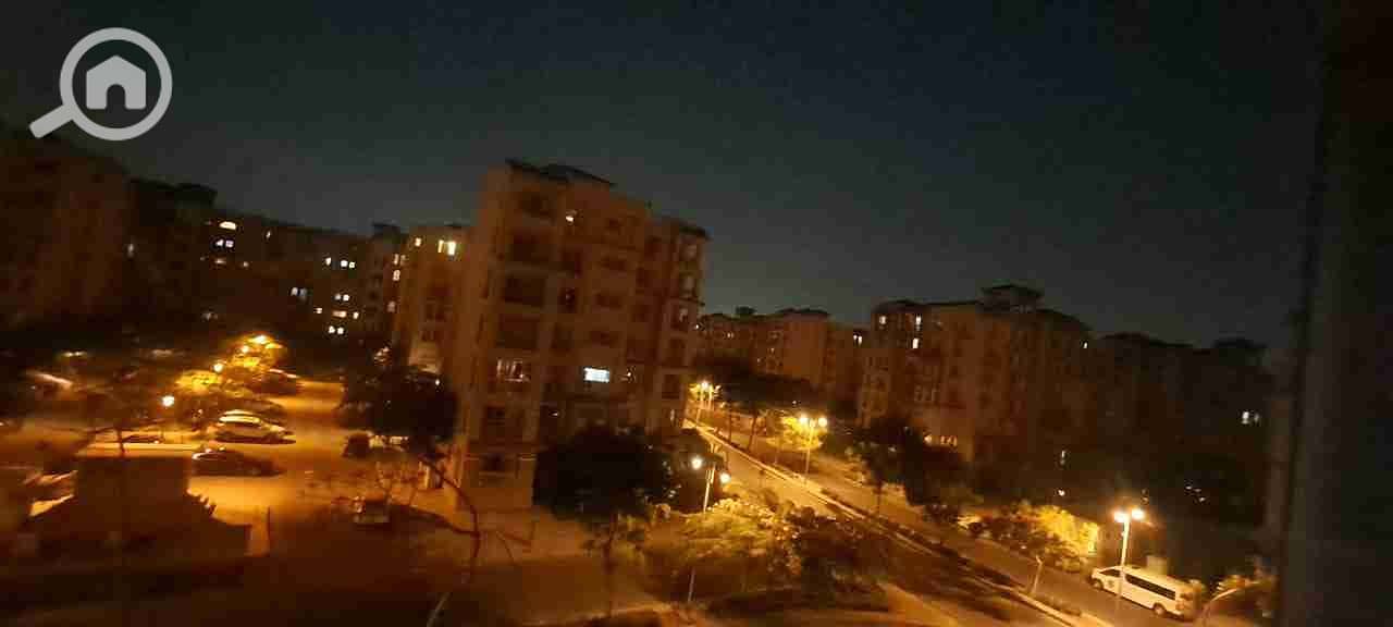 12 motion_photo_8129616990419287045. jpg