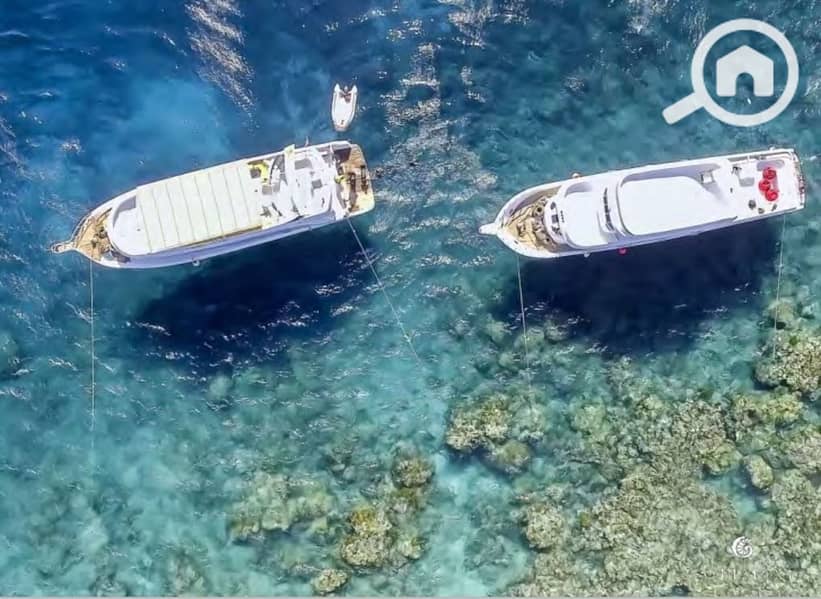 3 Screenshot_27-2-2024_145048_. jpeg