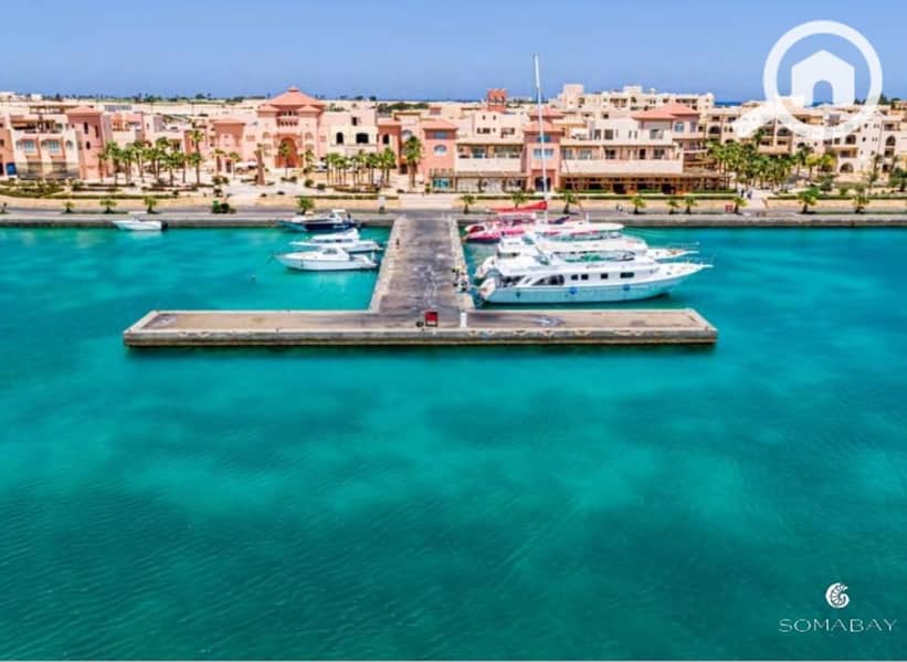 7 Screenshot_27-2-2024_144635_. jpeg