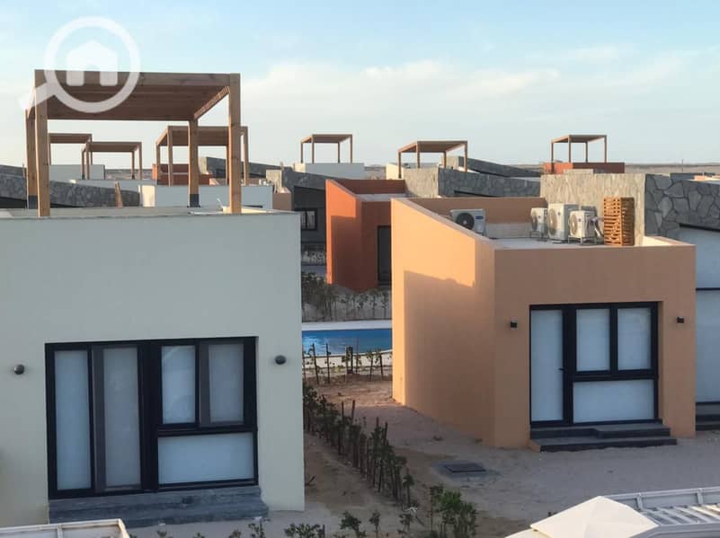 8 WhatsApp Image 2021-03-22 at 10.45. 11 AM (1). jpeg