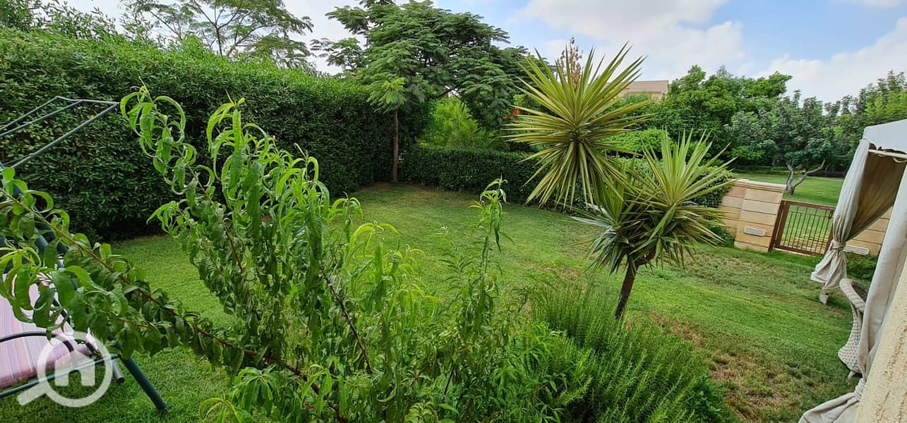 9 48e13bed-dbe0-4b97-a722-6c22d19b21f3. jpg