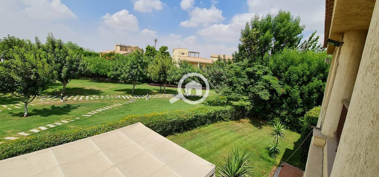 11 671fb3e0-6104-4e20-997d-5b649b4773e9. jpg