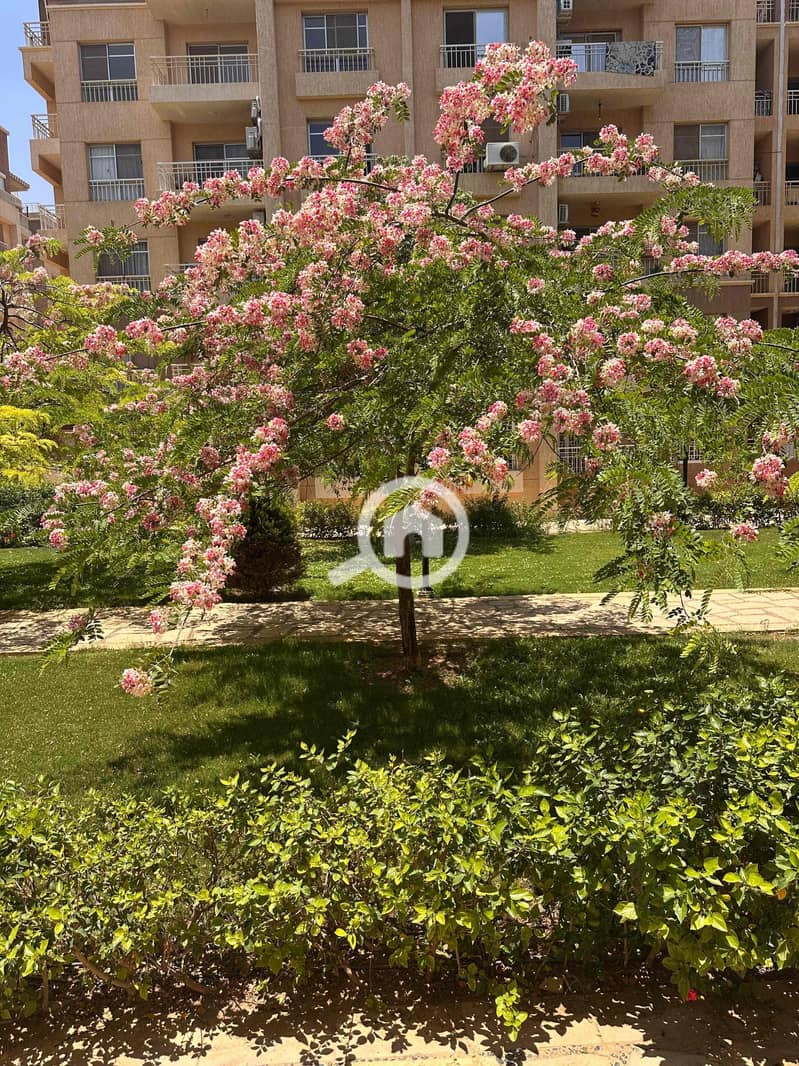 4 6e79bf7b-1376-4a79-8544-3759cde8c40a. jpg