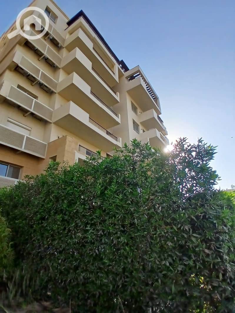 7 57546e43-0894-42ca-848f-efe396a6e194. jpg