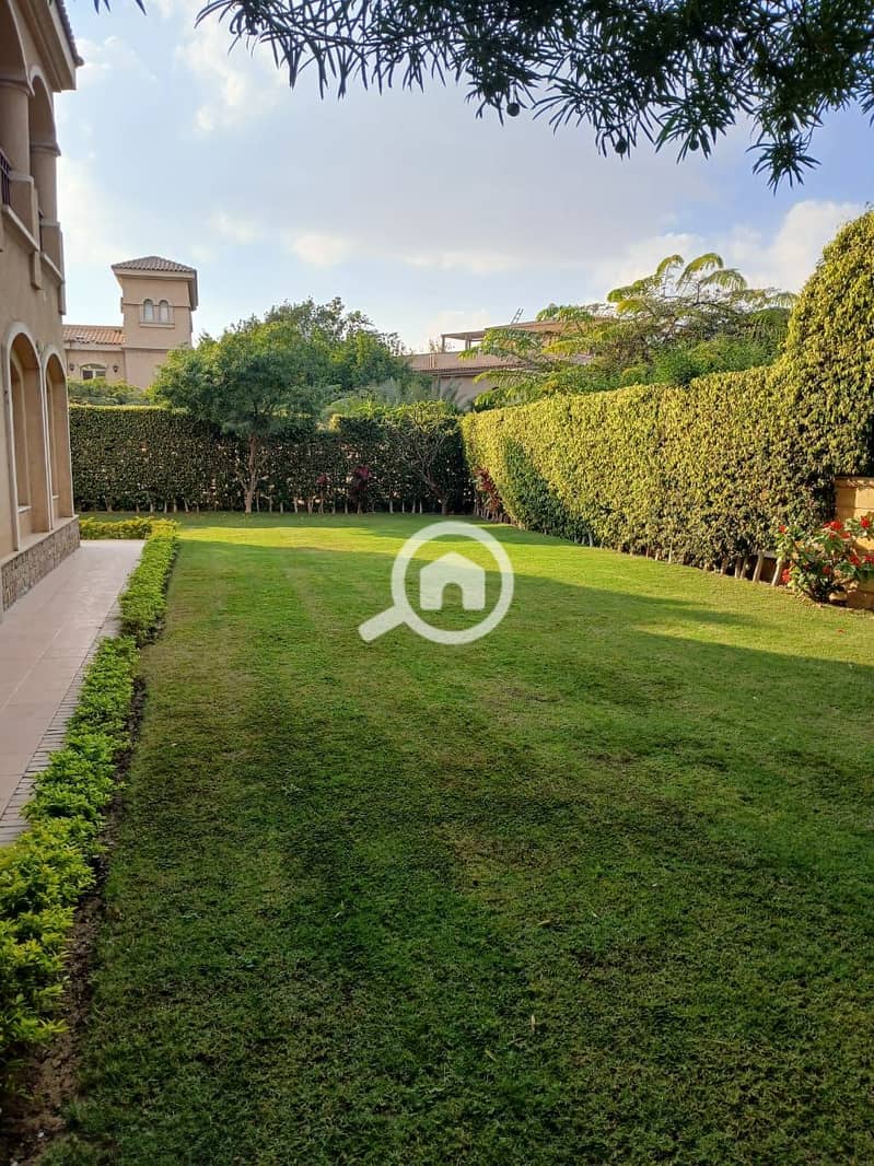 6 80441d6e-b477-4eb1-b67d-39e39cdb2477. jpg