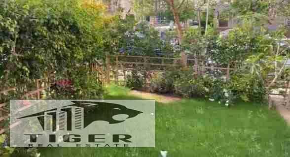 1000453222. jpg 1000453222. jpg