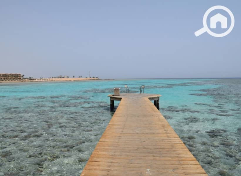 10 79d8baf3-8c12-4ccf-87a3-76e2c72a40a9. jpeg