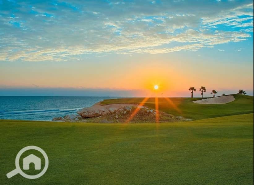 3 c10320b4-8b19-480a-841a-c1504930b5f2. jpeg