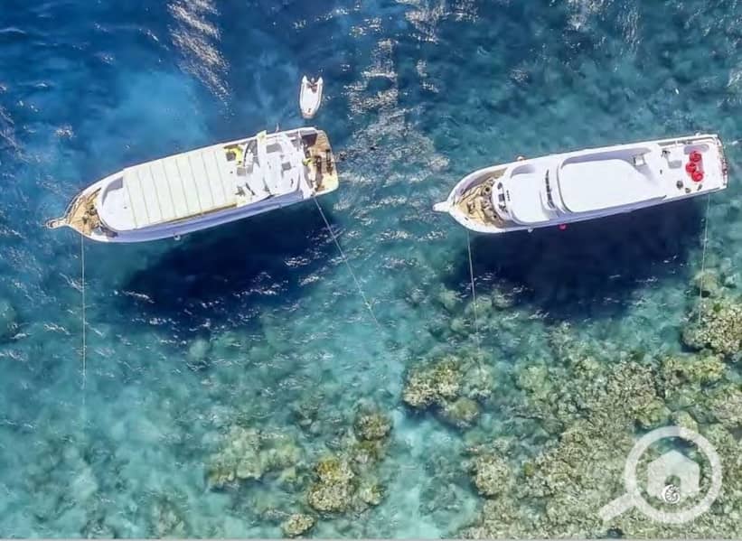 2 Screenshot_27-2-2024_145048_. jpeg