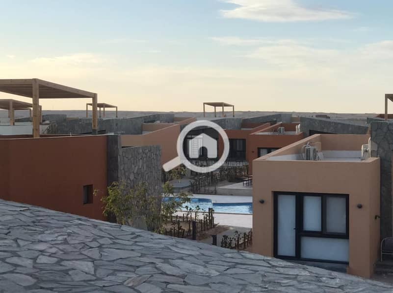 4 WhatsApp Image 2021-03-22 at 10.45. 12 AM. jpeg