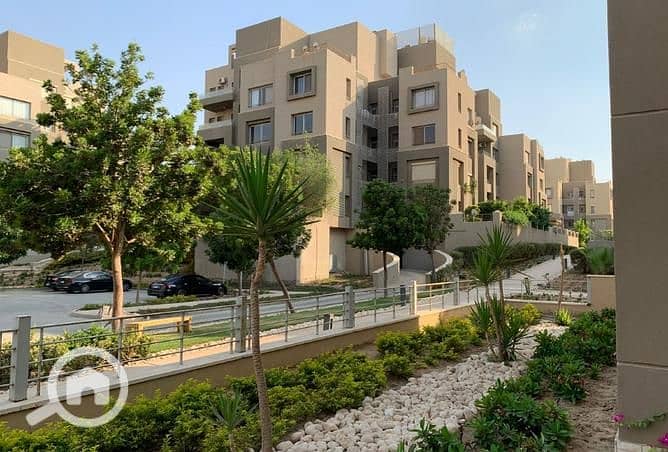 5 7788796-578dco. jpg