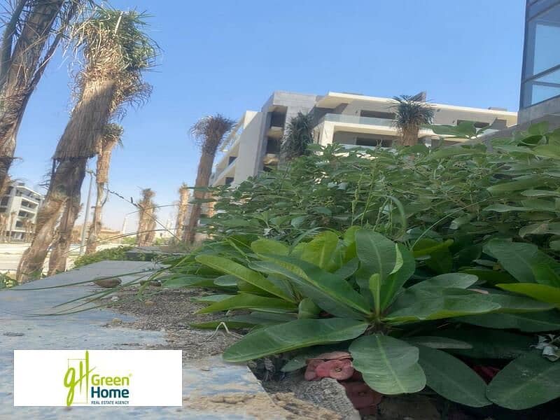 5 WhatsApp Image 2024-01-28 at 3.23. 50 PM (2). jpeg