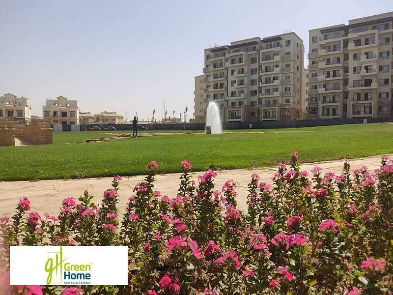 12 WhatsApp Image 2022-10-02 at 2.41. 55 PM. jpeg