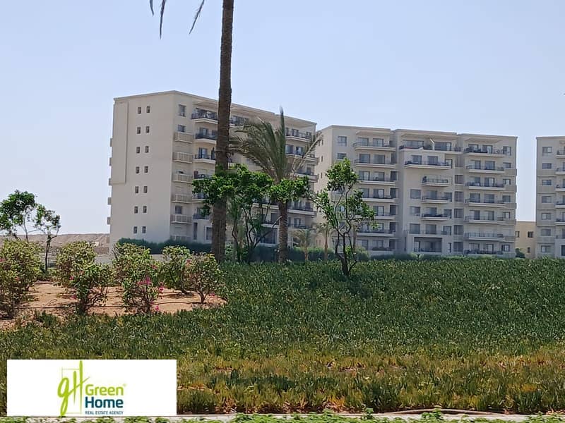 2 WhatsApp Image 2025-10-27 at 13.14. 43 (5). jpeg