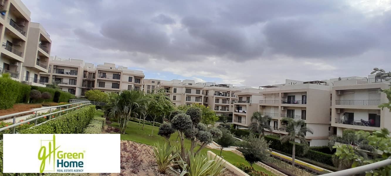 3 20251229_143001. jpg