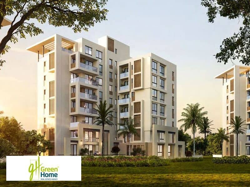 12 WhatsApp Image 2024-11-03 at 2.18. 23 PM. jpeg