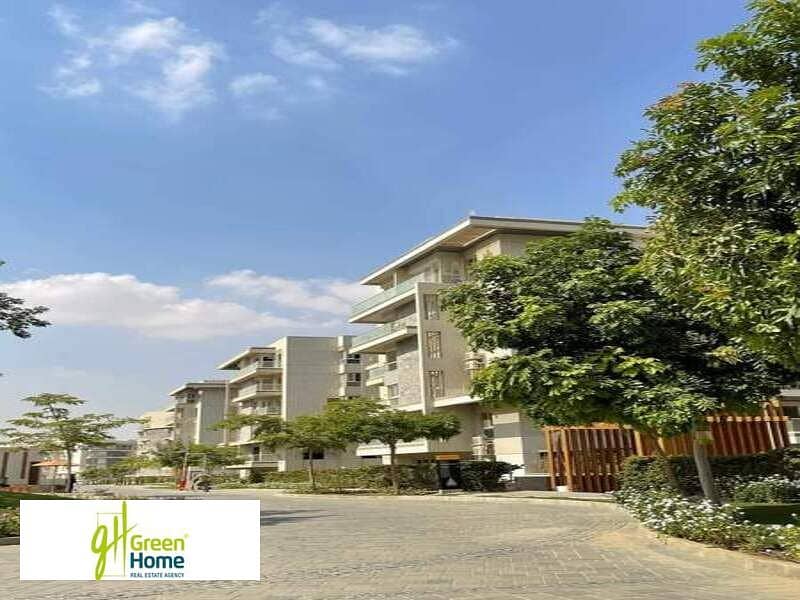 12 WhatsApp Image 2024-11-27 at 16.02. 22. jpeg