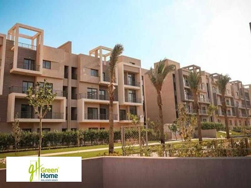 4 WhatsApp Image 2024-11-04 at 14.16. 32 (3). jpeg