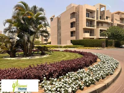 شقة 3 غرف نوم للبيع في القاهرة الجديدة، القاهرة - FB_IMG_1767437127285. jpg