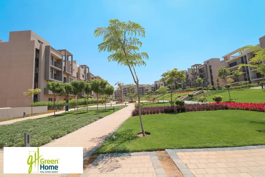 7 IMG_9433-copy. jpg