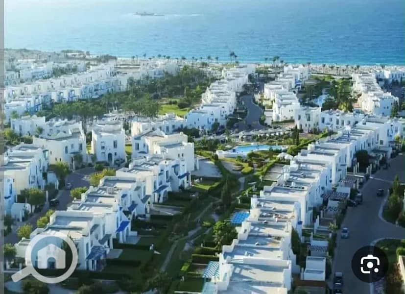 3 cc029284-faf4-48e3-8652-2f5da8f72dcc. jpg