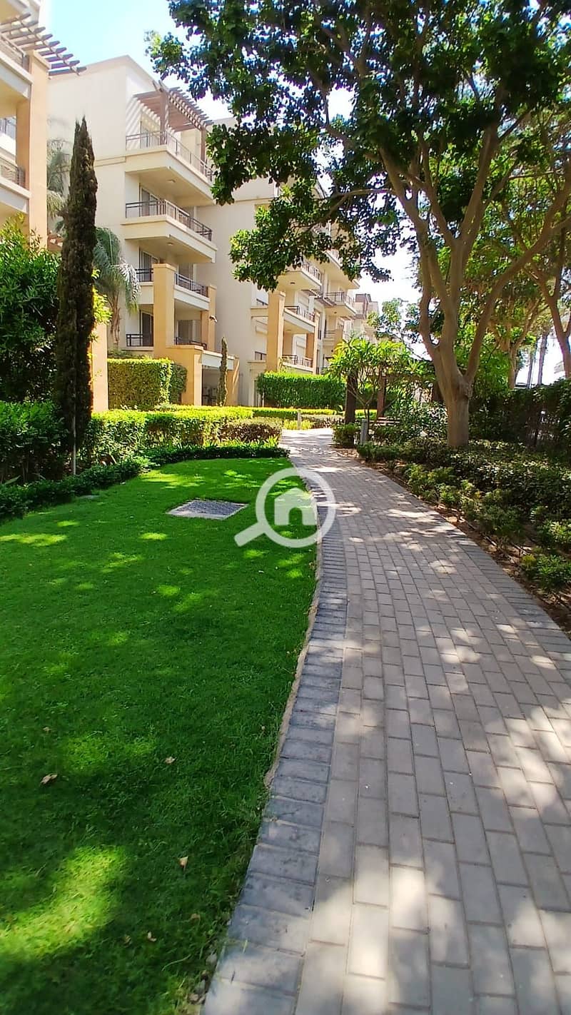 8 81f1d2c2-6555-4566-ab3d-a41fedaa7417. jpg