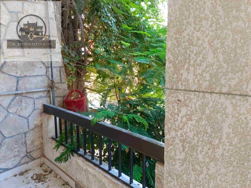 24 IMG_٢٠٢٤٠٨٠٤_١٥٤٦٣٨. jpg