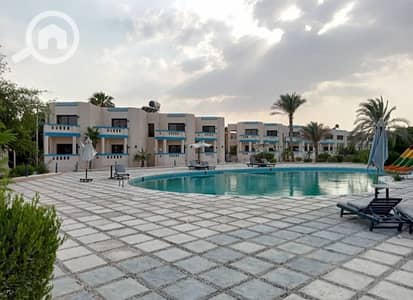 شاليه 2 غرفة نوم للبيع في العين السخنة، السويس - 921fb949-b287-4c0a-93e9-05cab04ac7dd. jpg