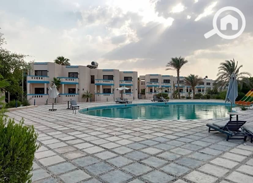 4 921fb949-b287-4c0a-93e9-05cab04ac7dd. jpg