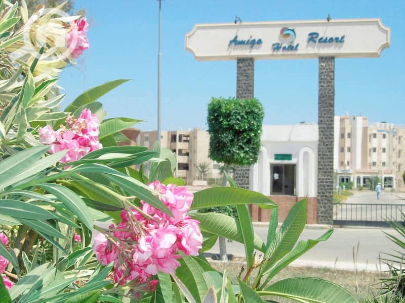 5 4237597c-1d22-4daa-9561-0df53687d0cb. jpg