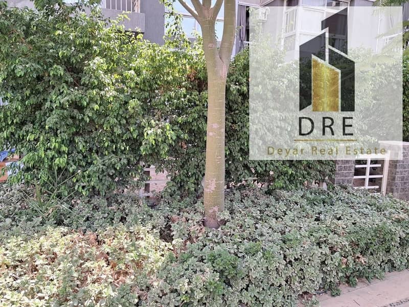 3 63fca91f-86d4-429d-ba8d-91b92c373b9b. jpg