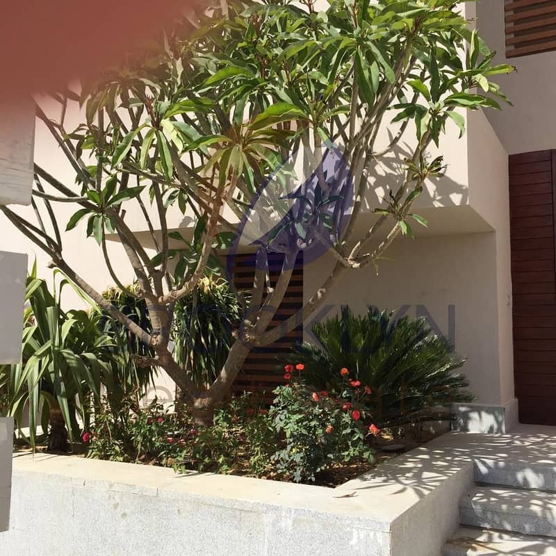 4 470b5a63-e931-44d1-82c8-591fd97e6068. jpeg