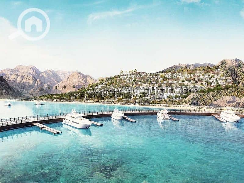 9 vkmdKa69budvXAgAkusG. jpg