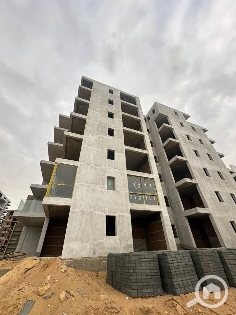 13 3843cf81-51e0-43e8-97e8-0a0e8b8c752c. jpg