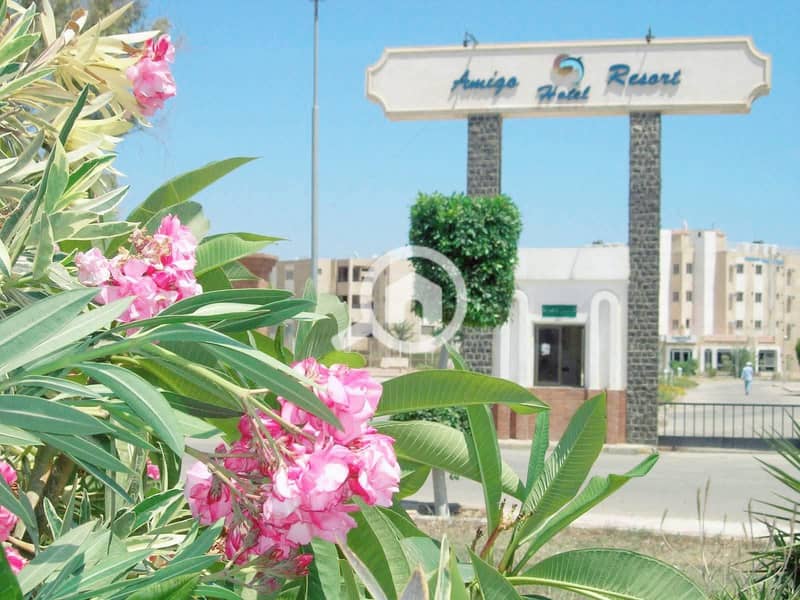 5 4237597c-1d22-4daa-9561-0df53687d0cb. jpg