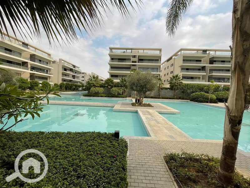 13 bf645870-499b-4367-9905-cca0b185f0bc. jpg