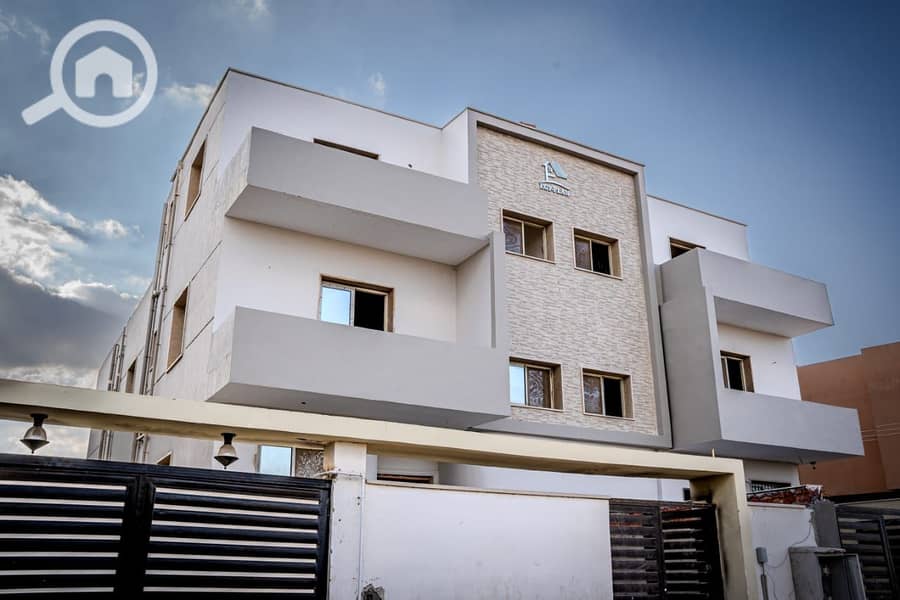 7 605864972_122115786927078299_534447981872075344_n. jpg