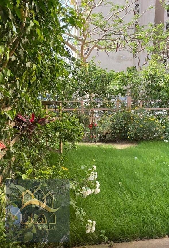 2 WhatsApp Image 2026-01-08 at 2.31. 39 PM. jpeg