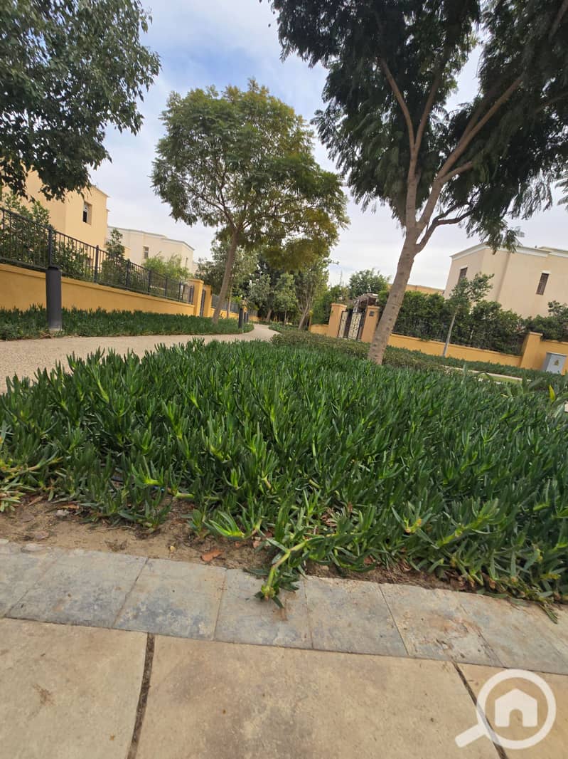 4 20260104_132439. jpg