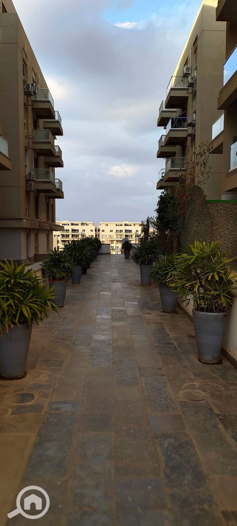 5 IMG_٢٠٢٥١٢٢٩_١٦١٦٢٥. jpg