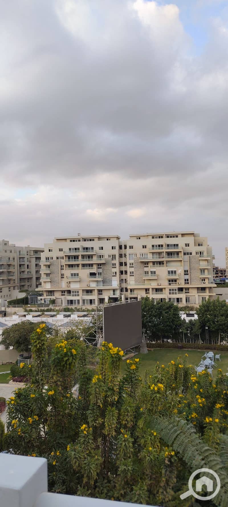 6 IMG_٢٠٢٥١٢٢٩_١٦٢٠٣٠. jpg