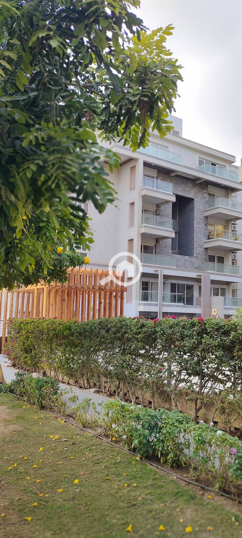 7 IMG_٢٠٢٥١٢٢٩_١٦١١٤٧. jpg