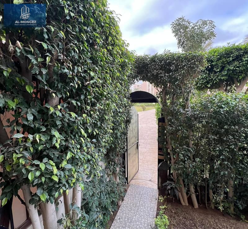 11 75551638-f69f-4a0d-9dae-1382259651f5. jpg