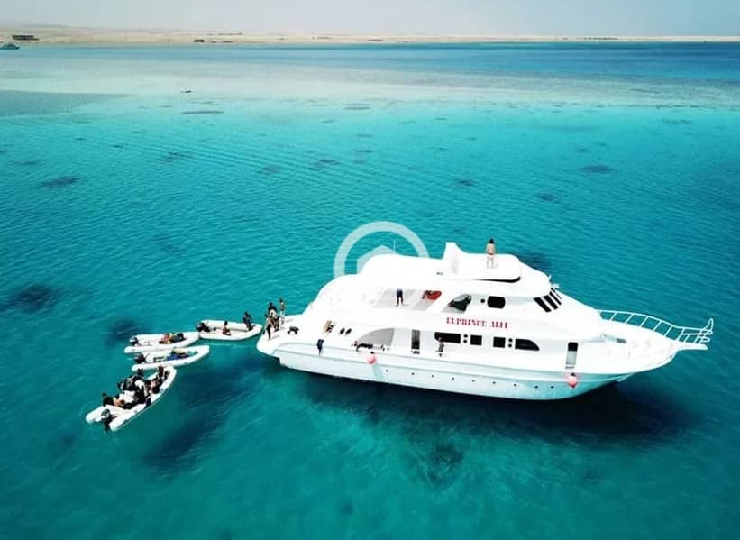 8 816941c0-a941-4cf8-a1d3-be67404cc2c8. jpeg