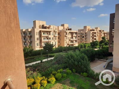 3 Bedroom Apartment for Rent in Shorouk City, Cairo - WhatsApp Image 2024-11-19 at 15.42. 01_20d4a851. jpg